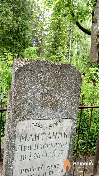 Мантачик Лея Нисиновна