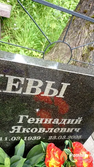 Михалёв Геннадий Яковлевич