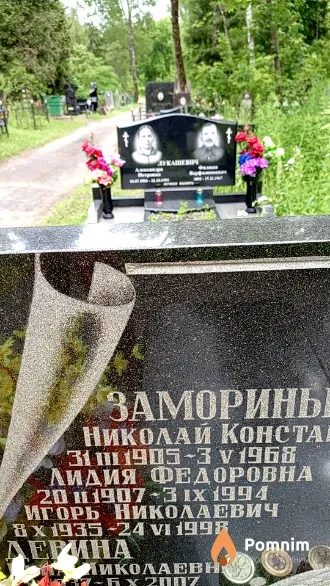Заморин Игорь Николаевич