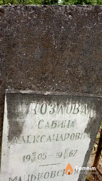Козлова Сабина Александровна
