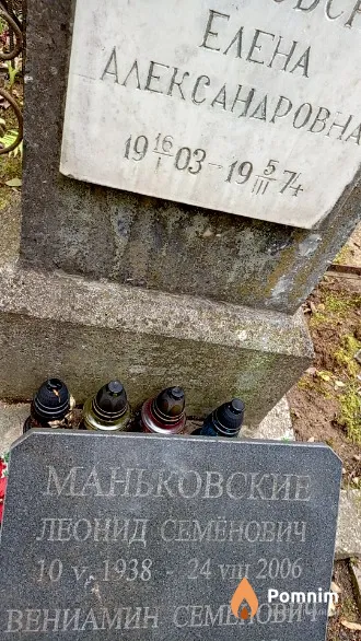 Маньковский Леонид Семенович