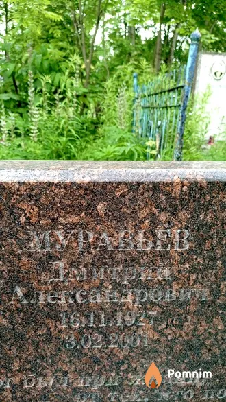 Муравьев Дмитрий Александрович