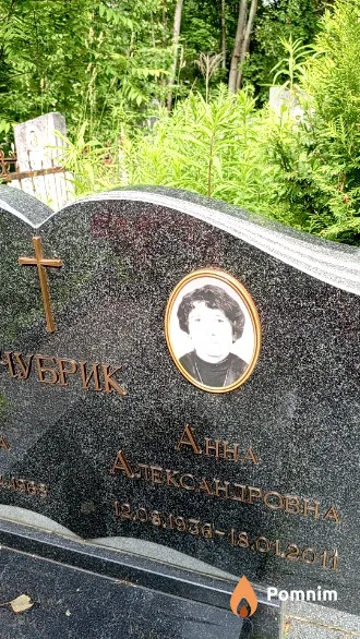 Чубрик Анна Александровна