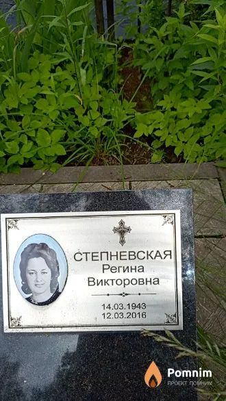 Степневская Регина Викторовна