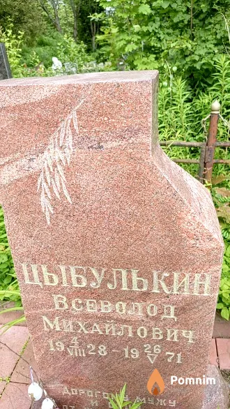 Цыбулькин Всеволод Михайлович