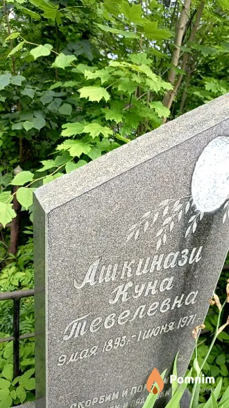 Ашкинази Куна Тевелевна