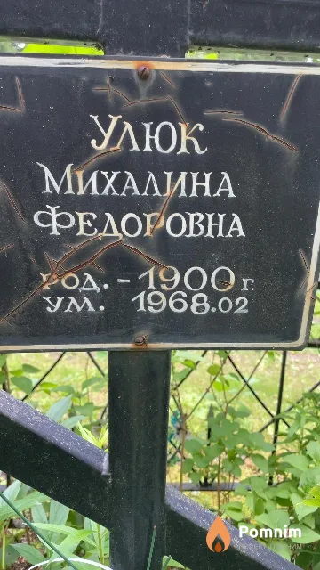 Улюк Михалина Федоровна