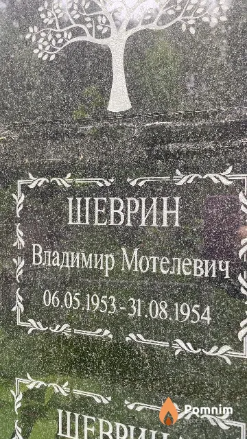 Шеврин Владимир Мотелевич