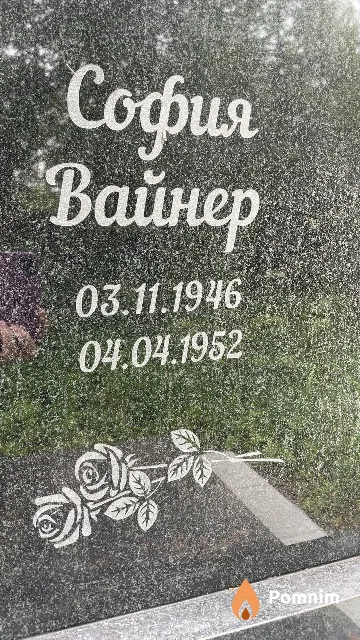 Вайнер София