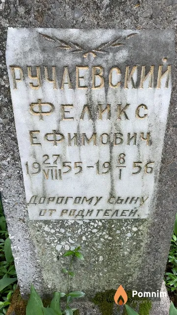 Ручаевский Феликс Ефимович