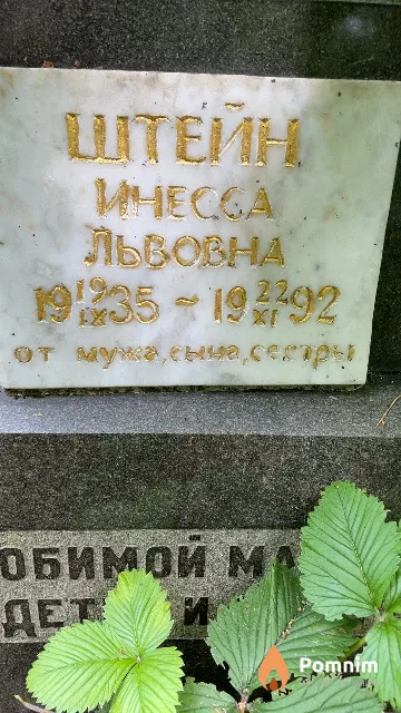 Штейн Инесса Львовна