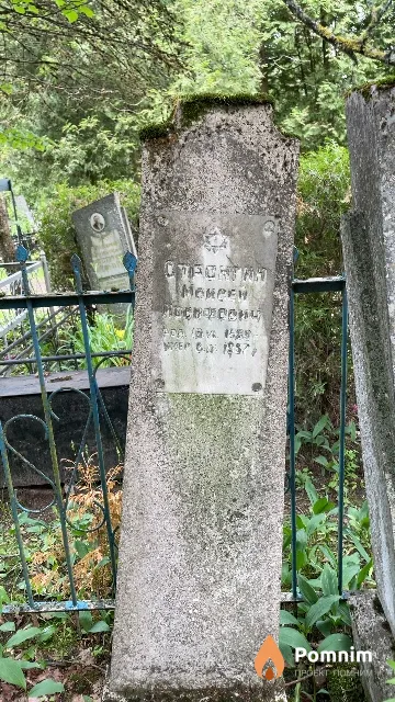 Стронгин Моисей Иосифович