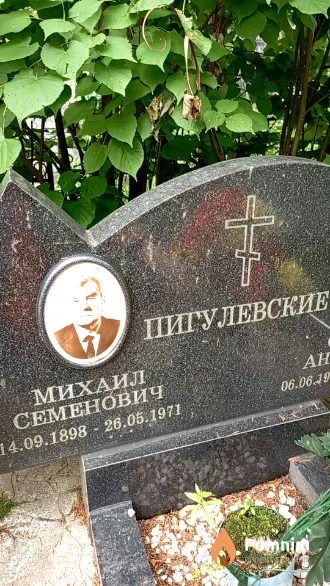Пигулевский Михаил Семенович