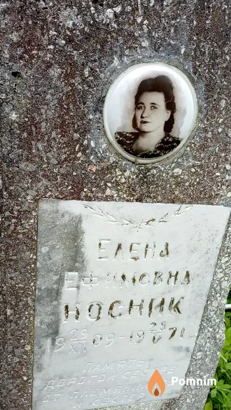 Носник Елена Ефимовна