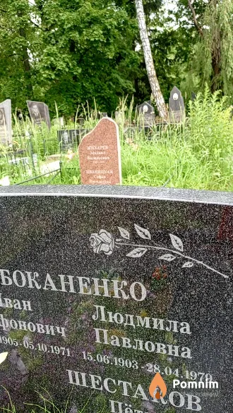 Боканенко Людмила Павловна