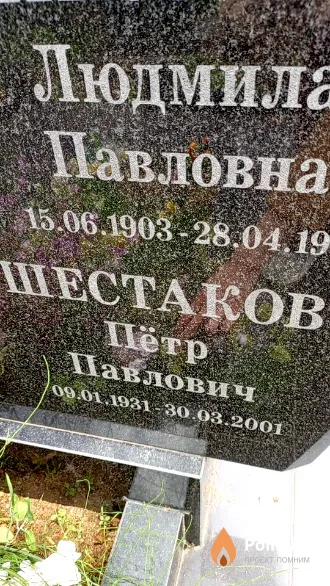 Шестаков Петр Павлович