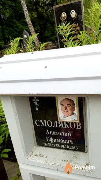 Смоляков Анатолий Ефимович