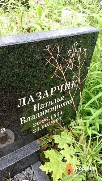 Лазарчик Наталья Владимировна