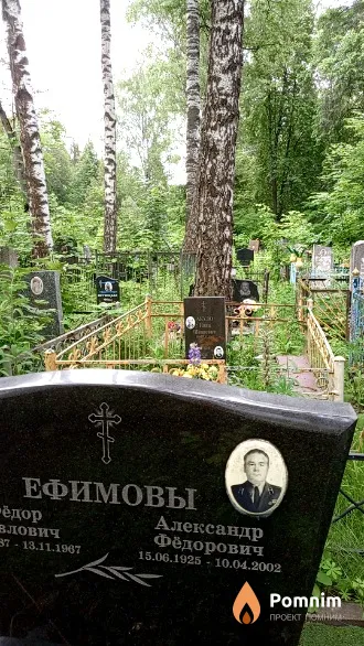 Ефимов Александр Федорович