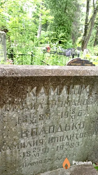 Володько Камилия Иполитовна