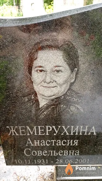 Жемерухина Анастасия Совельевна
