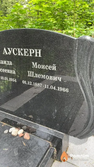 Аускерн Моисей Шлемович