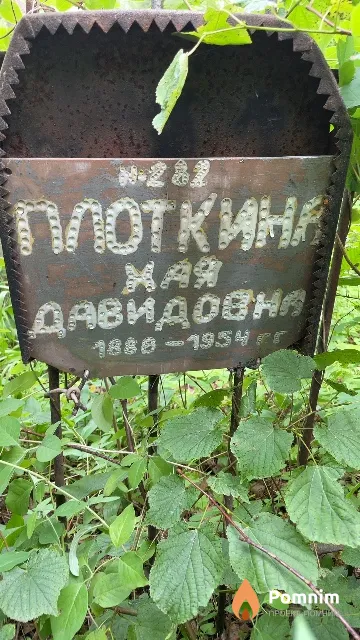 Плоткина Хая Давидовна
