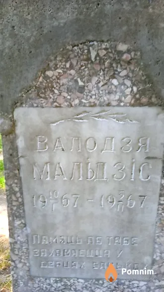 Валодзя Мальдзіс