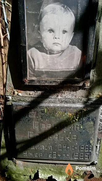 Горынин Сашенька