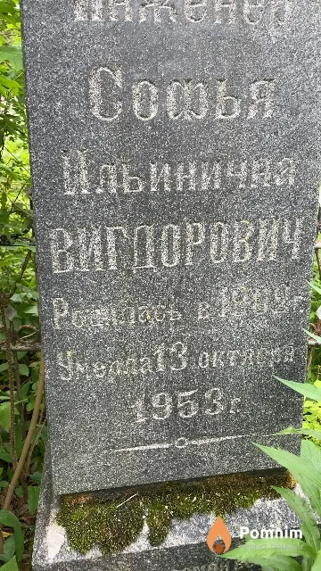 Вигдорович Софья Ильинична