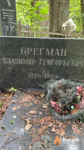 Брегман Владимир Григорьевич