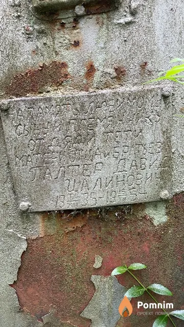 Палтер Давид Цалинович