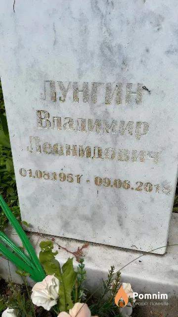 Лунгин Владимир Леонидович
