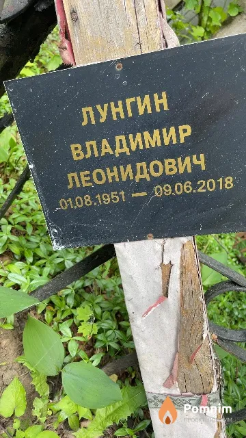 Лунгин Владимир Леонидович