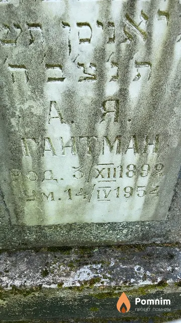 Гантман А. Я.