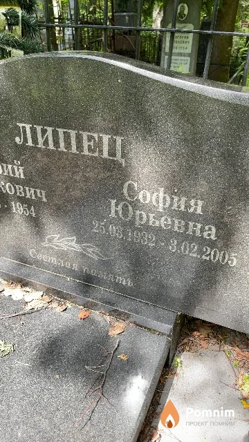 Липец София Юрьевна