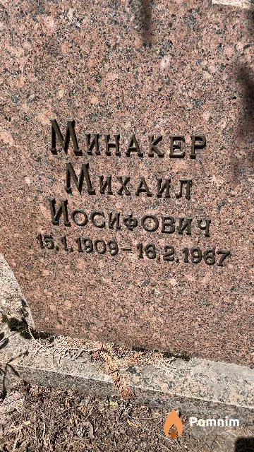 Минакер Михаил Иосифович