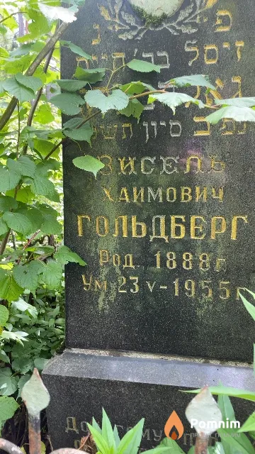 Гольдберг Зисель Хаимович
