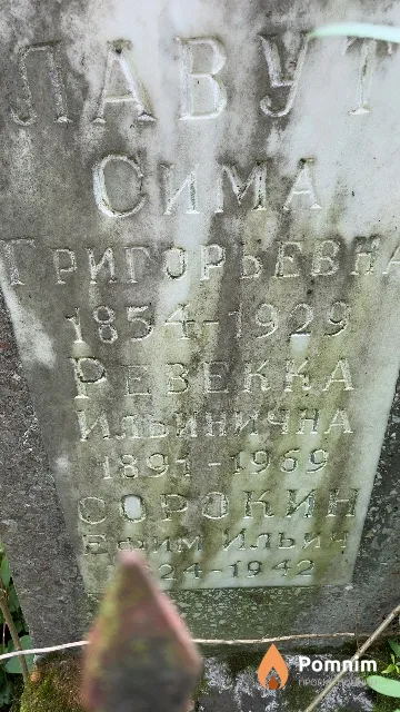 Лавут Сима Григорьевна