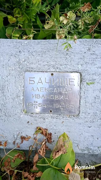 Бачище Александр Иванович