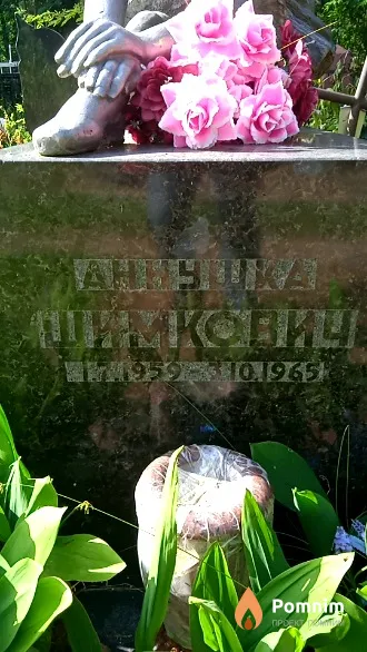 Шимкович Анна