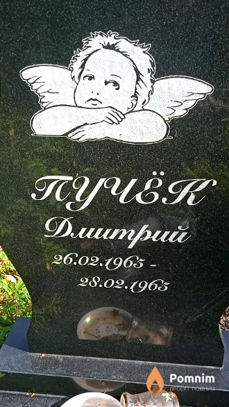 Пучёк Дмитрий