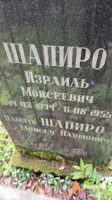 Шапиро Израиль Моисеевич