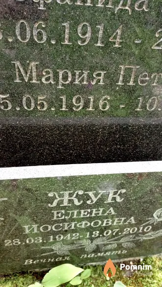 Жук Елена Иосифовна