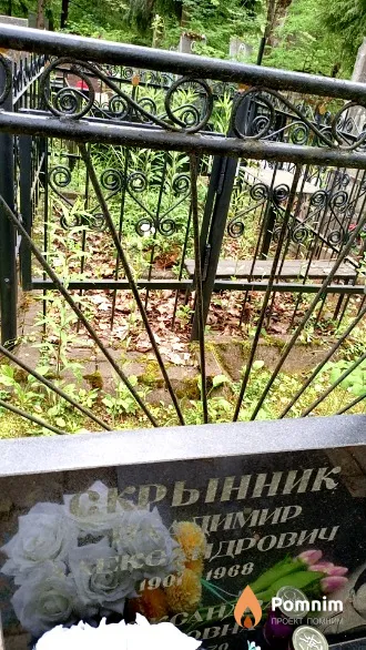 Скрынник Владимир Александрович