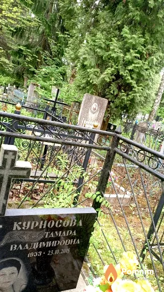 Курносова Тамара Владимировна