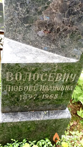 Волосевич Любовь Ивановна