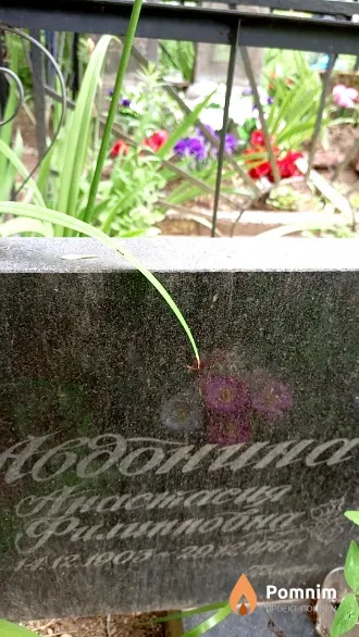 Авдонина Aнастасия Филлиповна