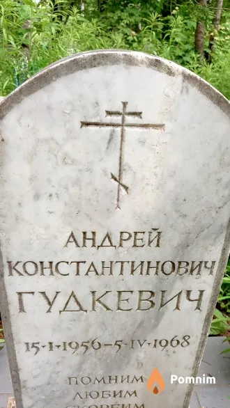 Гудкевич Андрей Константинович