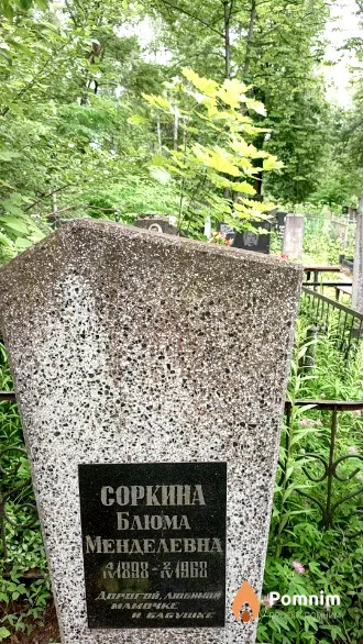 Соркина Блюма Менделевна